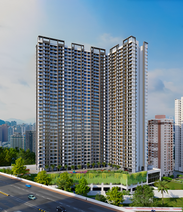 Portfolio Image